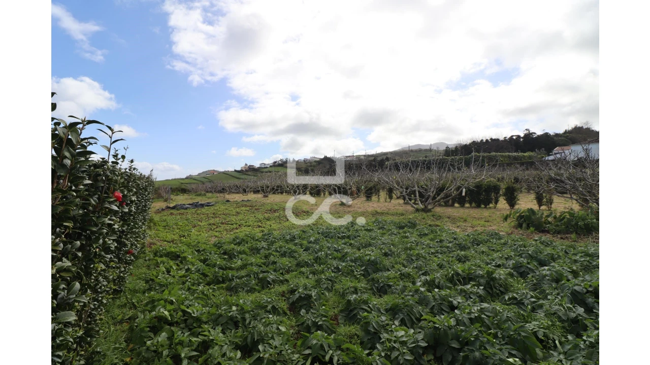 Terreno para Venda em Santana Foto 4