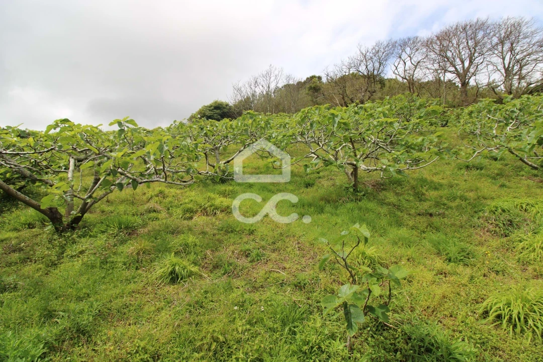 Moradia T3 para Venda em Ribeira Seca Foto 4