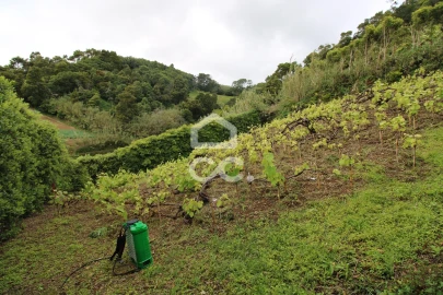 Moradia T3 para Venda em Ribeira Seca