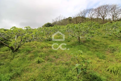 Moradia T3 para Venda em Ribeira Seca