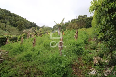 Moradia T3 para Venda em Ribeira Seca
