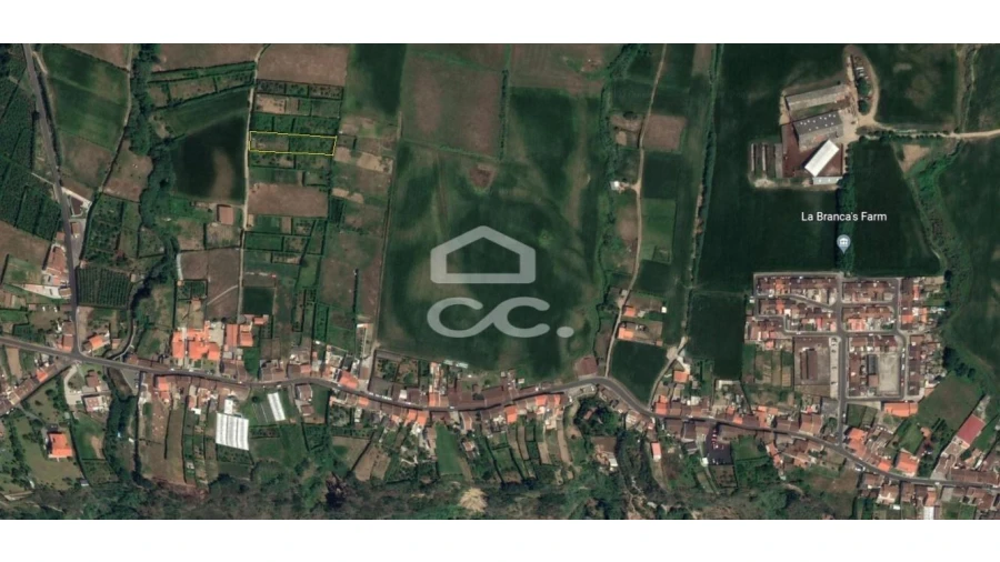 Terreno para Venda em Ponta Garça Foto 16