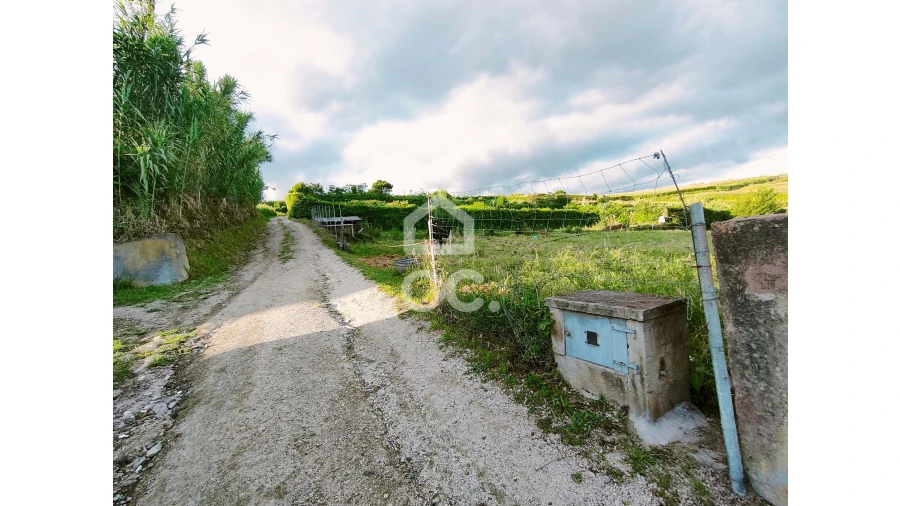 Terreno para Venda em Ponta Garça Foto 12