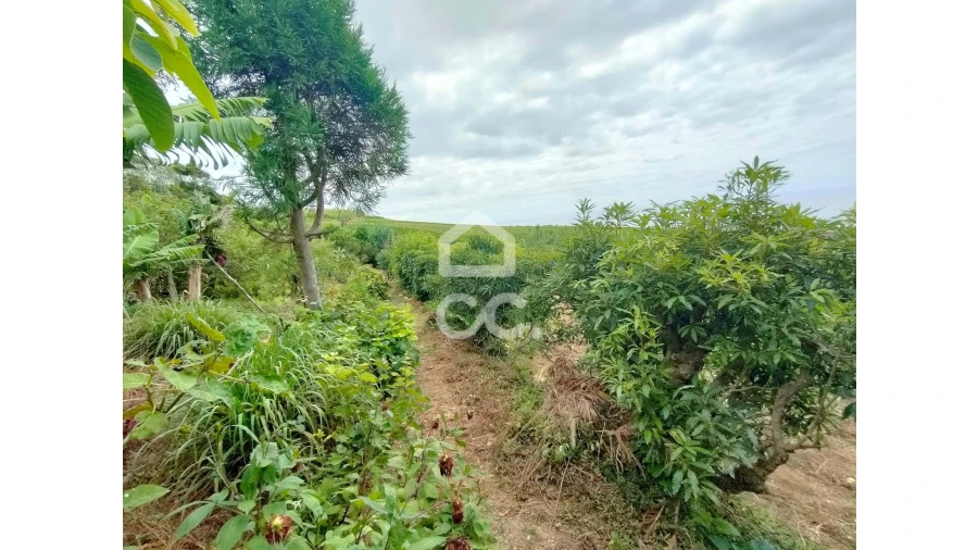Terreno para Venda em Ponta Garça Foto 6