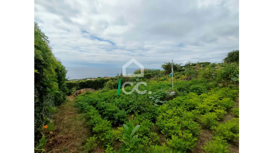 Terreno para Venda em Ponta Garça Foto 11