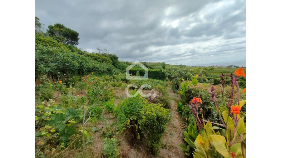 Terreno para Venda em Ponta Garça Foto 9