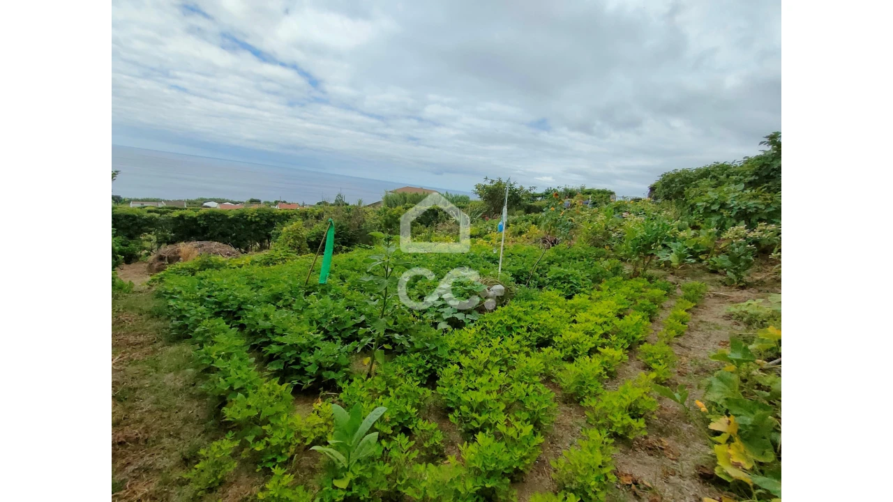Terreno para Venda em Ponta Garça Foto 7