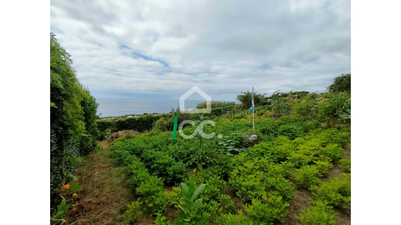 Terreno para Venda em Ponta Garça Foto 11