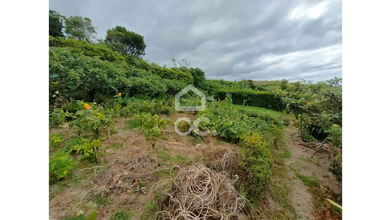Terreno para Venda em Ponta Garça Foto 4