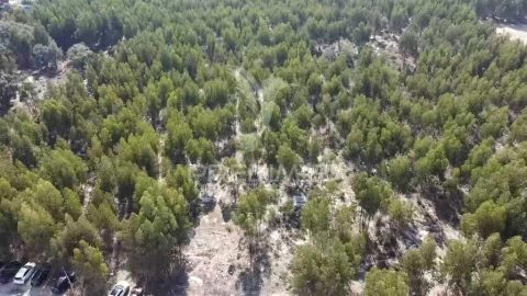 Terreno para Venda em Palmela