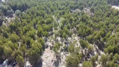 Terreno para Venda em Palmela