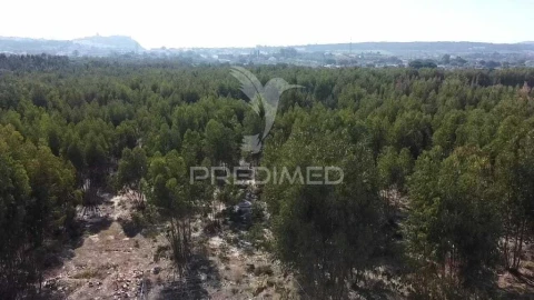 Terreno para Venda em Palmela