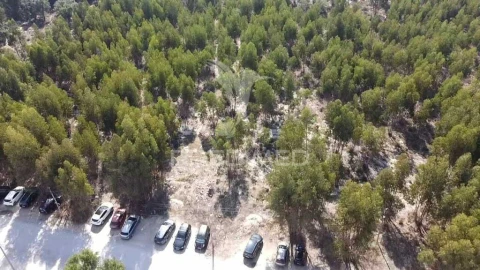 Terreno para Venda em Palmela