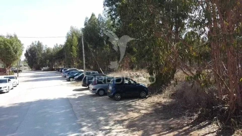 Terreno para Venda em Palmela