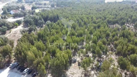 Terreno para Venda em Palmela