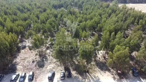 Terreno para Venda em Palmela