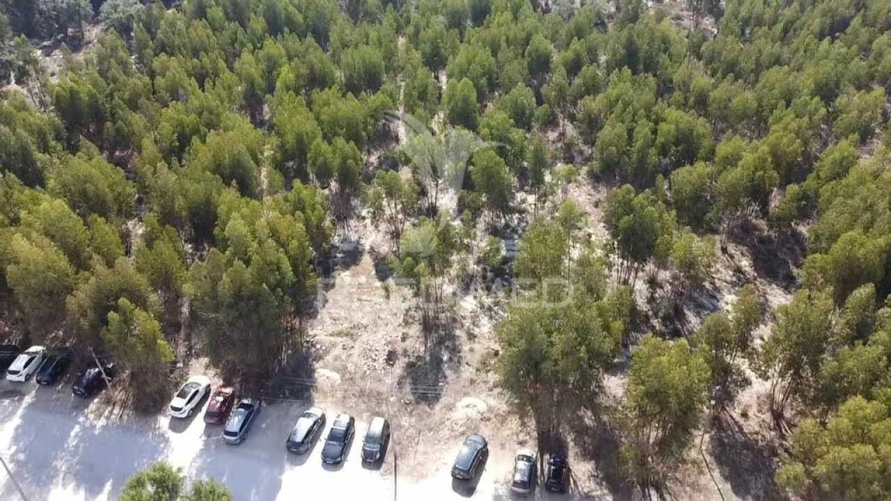 Terreno para Venda em Palmela Foto 8