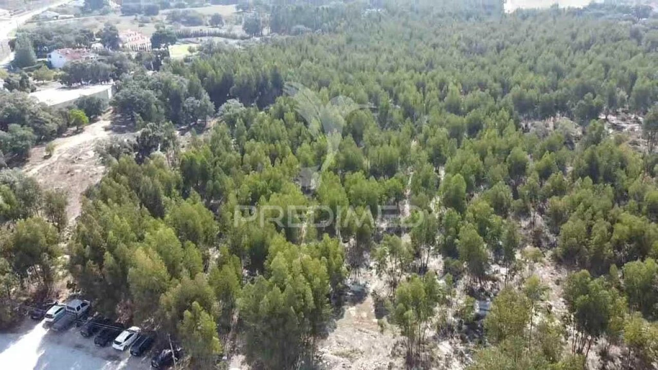 Terreno para Venda em Palmela Foto 10