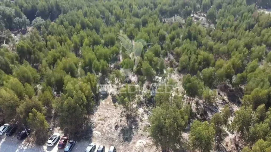 Terreno para Venda em Palmela Foto 9