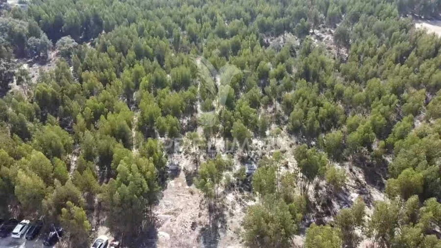 Terreno para Venda em Palmela Foto 2