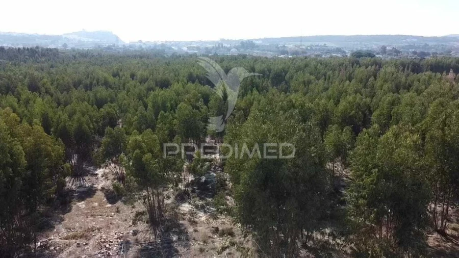 Terreno para Venda em Palmela Foto 3