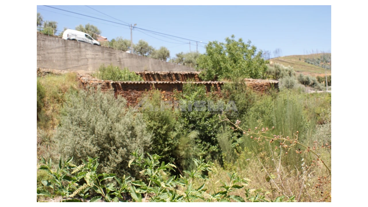 Moradia T1 para Venda em Janeiro de Cima e Bogas de Baixo Foto 10