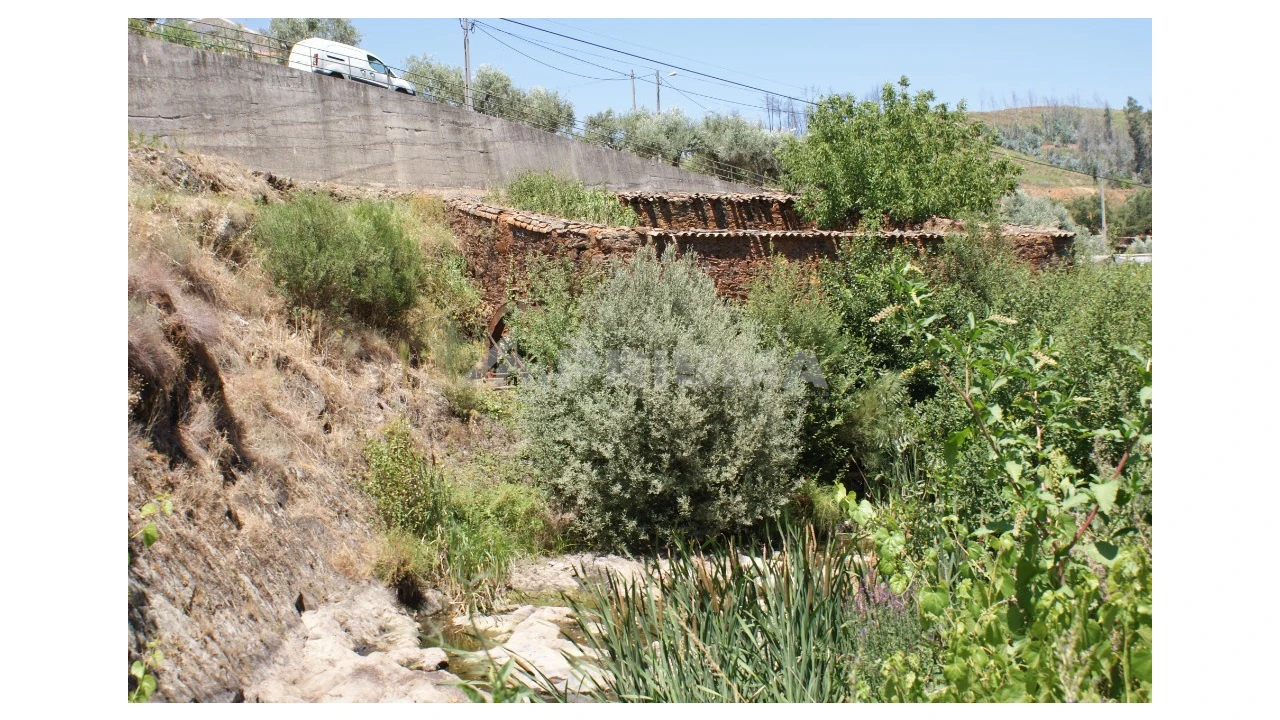 Moradia T1 para Venda em Janeiro de Cima e Bogas de Baixo Foto 4