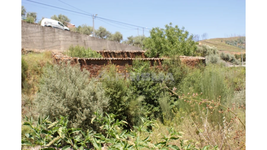 Moradia T1 para Venda em Janeiro de Cima e Bogas de Baixo Foto 10