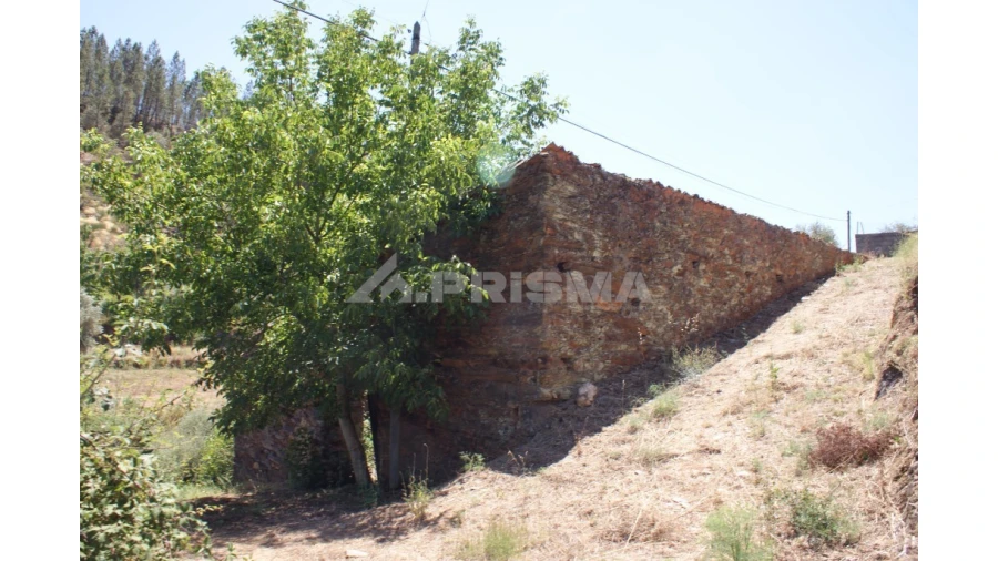 Moradia T1 para Venda em Janeiro de Cima e Bogas de Baixo Foto 5