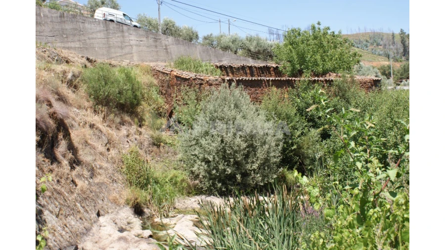 Moradia T1 para Venda em Janeiro de Cima e Bogas de Baixo Foto 4