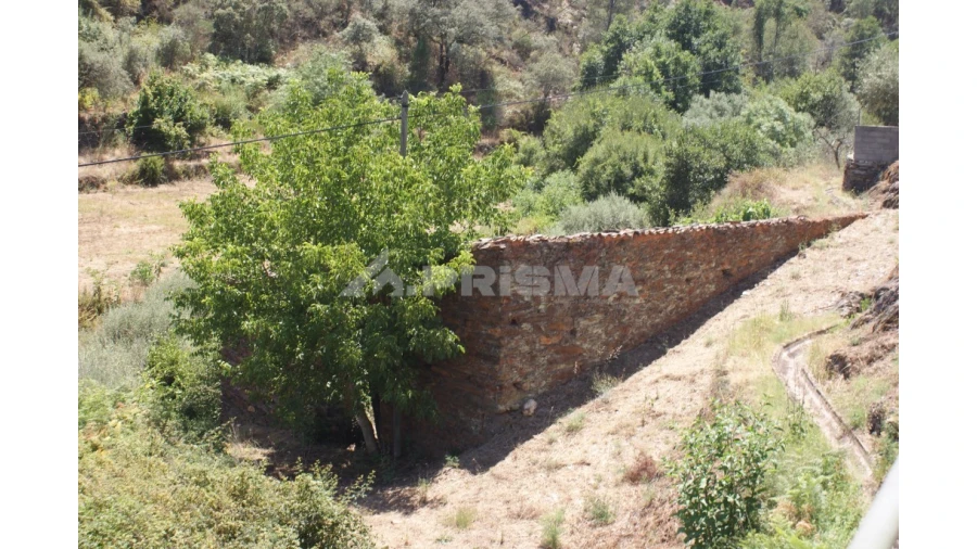 Moradia T1 para Venda em Janeiro de Cima e Bogas de Baixo Foto 8
