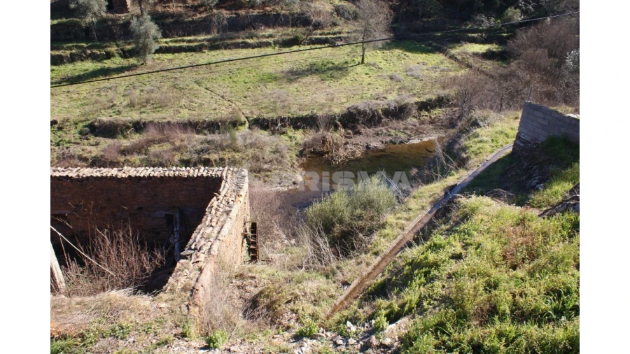 Moradia T1 para Venda em Janeiro de Cima e Bogas de Baixo Foto 11