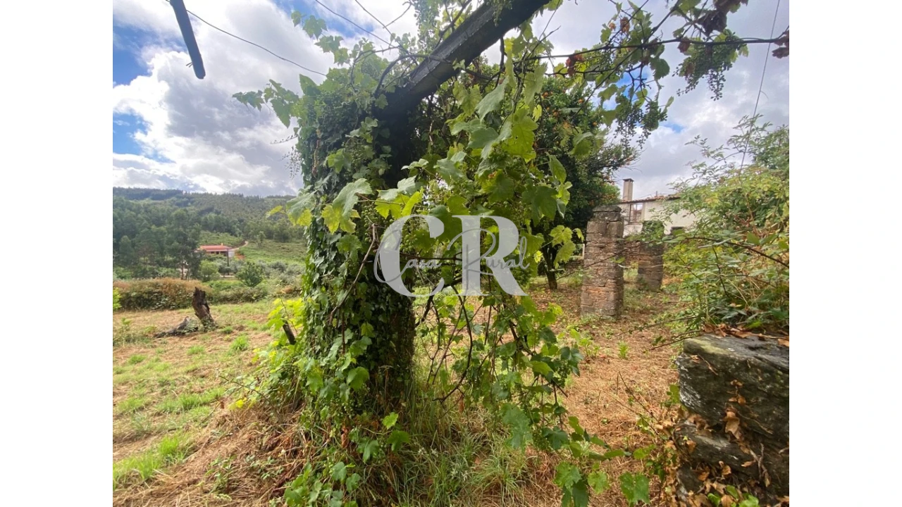 Moradia T3 para Venda em Campelo Foto 11