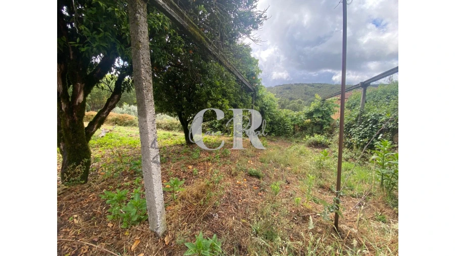 Moradia T3 para Venda em Campelo Foto 17