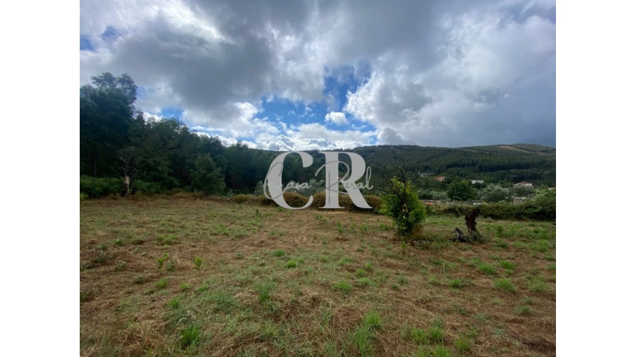 Moradia T3 para Venda em Campelo Foto 5