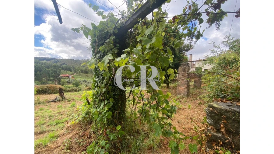 Moradia T3 para Venda em Campelo Foto 11