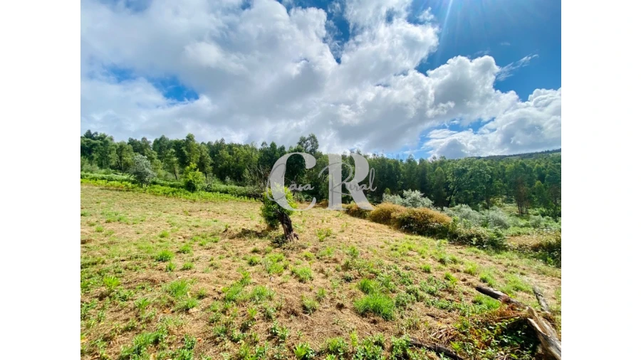 Moradia T3 para Venda em Campelo Foto 51