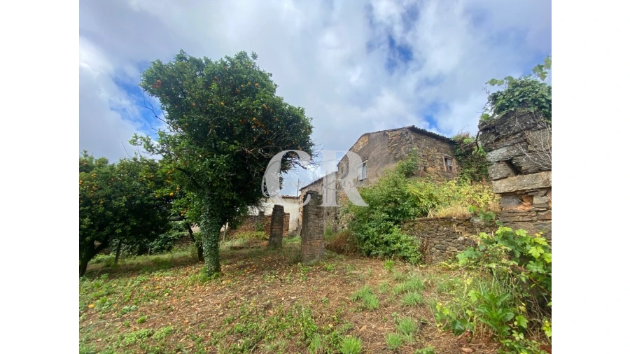 Moradia T3 para Venda em Campelo Foto 12