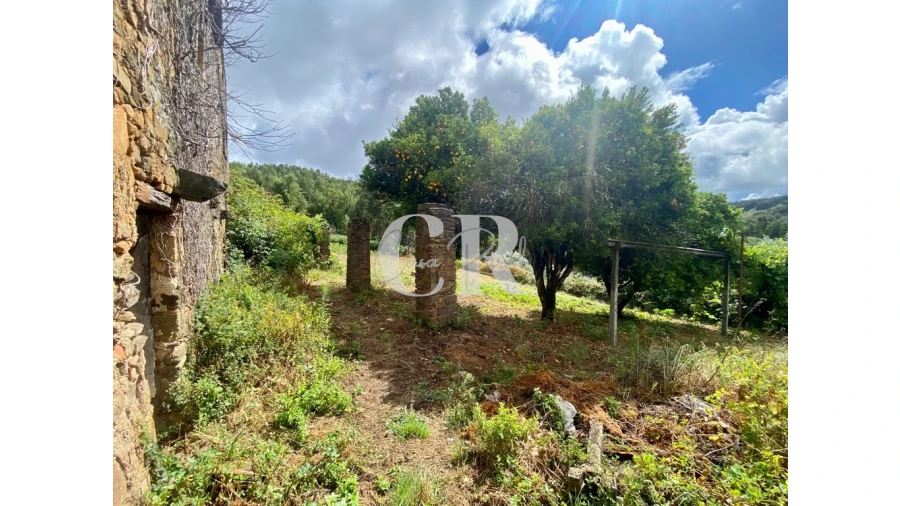 Moradia T3 para Venda em Campelo Foto 49