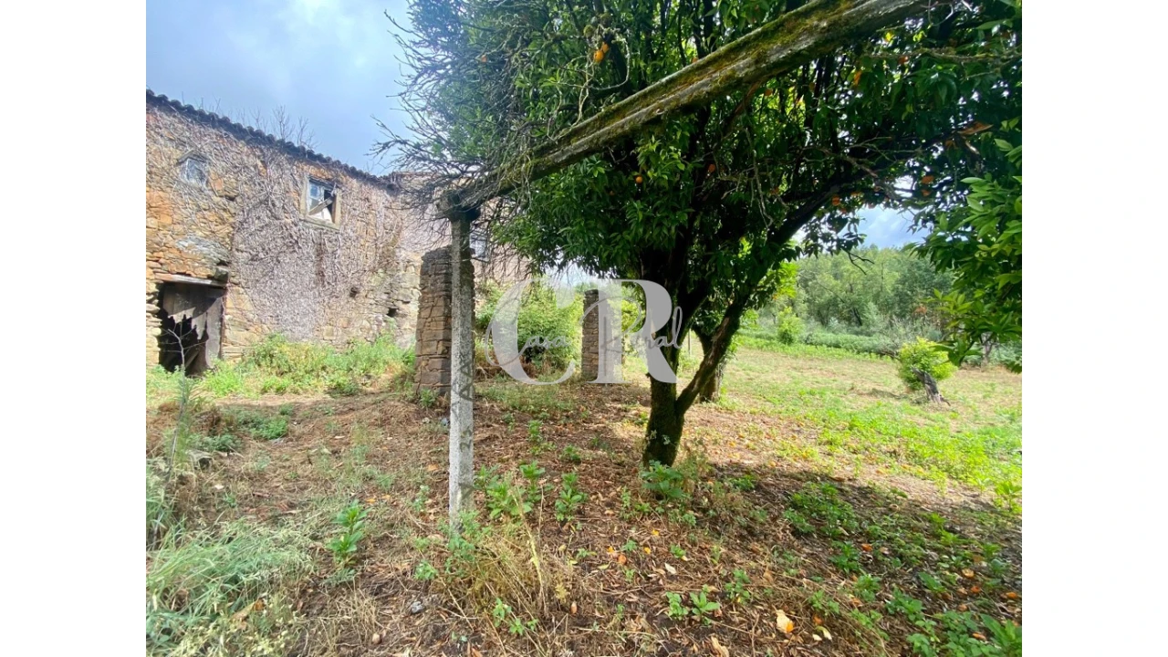 Moradia T3 para Venda em Campelo Foto 50