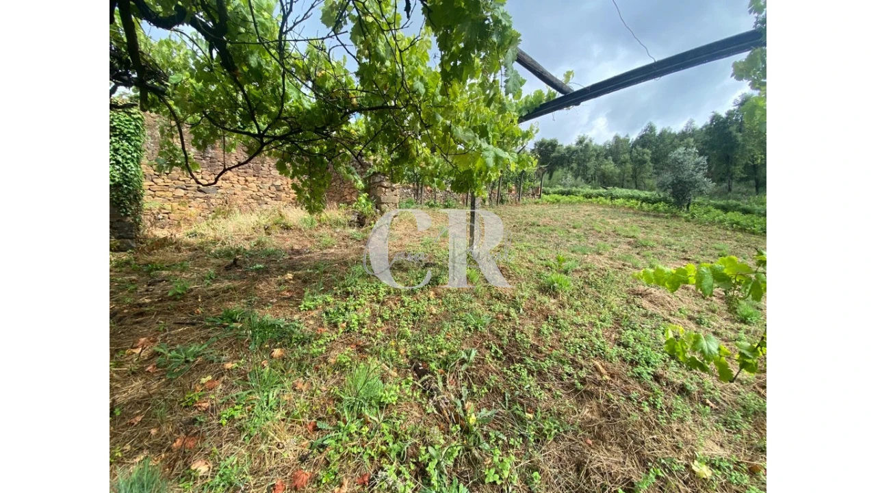 Moradia T3 para Venda em Campelo Foto 14