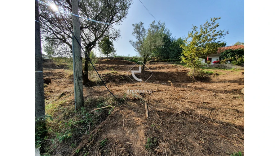 Terreno para Venda em Vale Foto 11