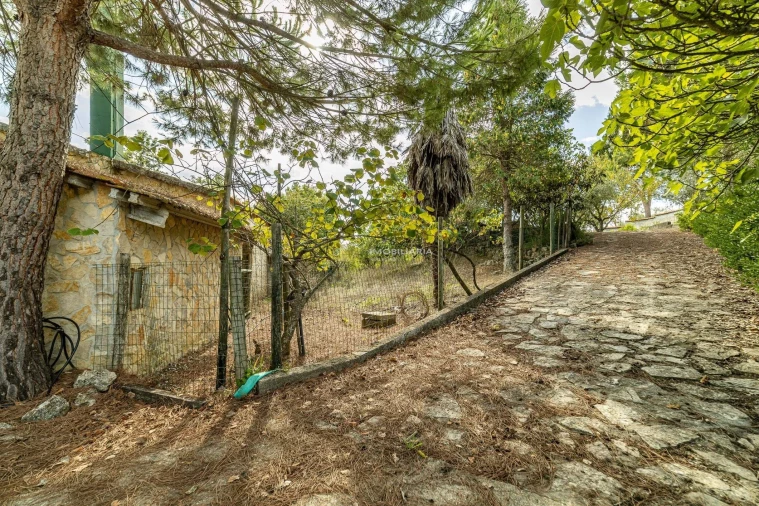 Quinta T4 para Venda em Romeira e Várzea Foto 35