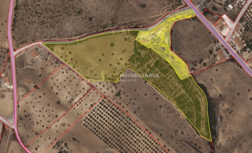 Quinta T4 para Venda em Romeira e Várzea Planta 1