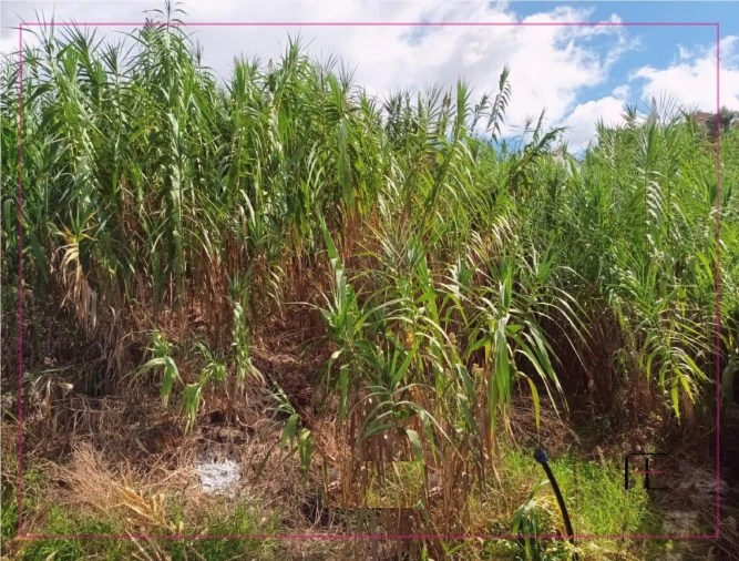 Terreno para Venda em São Roque Foto 2