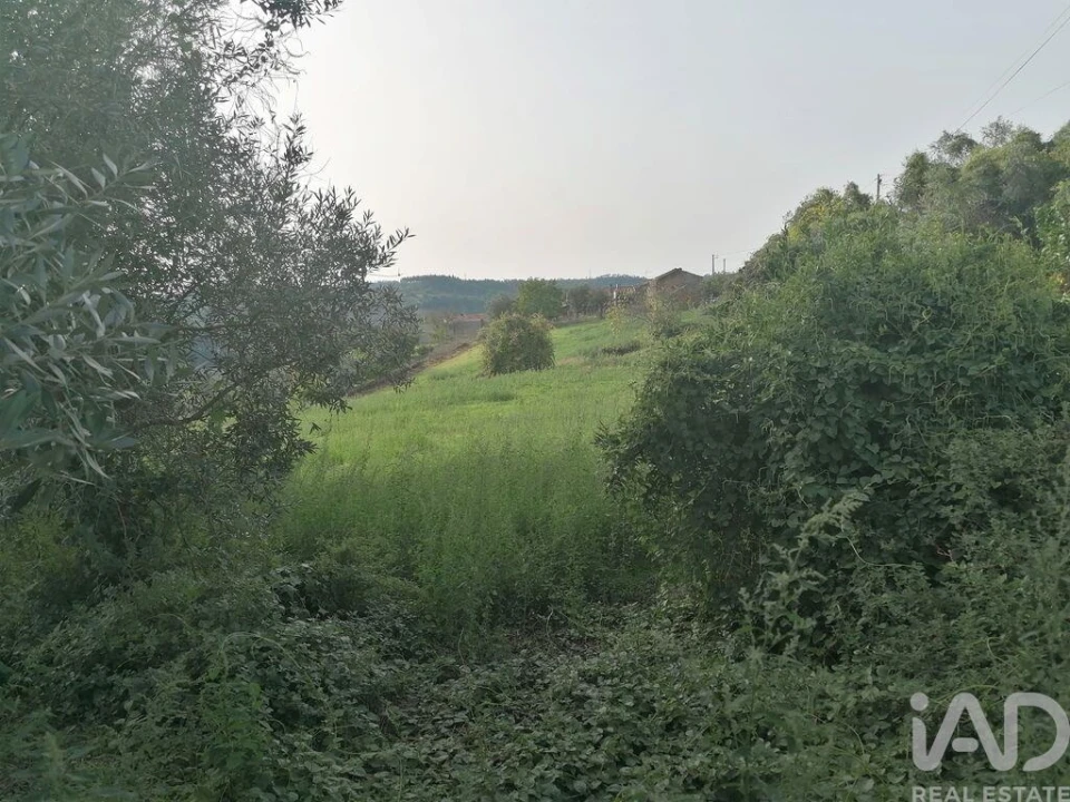 Moradia T3 para Venda em Lamas Foto 14