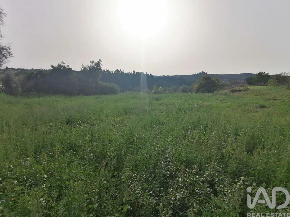 Moradia T3 para Venda em Lamas Foto 13