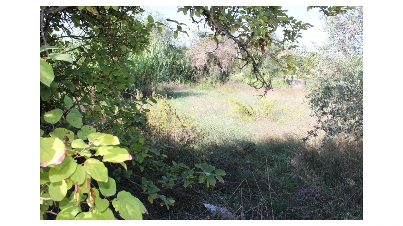 Terreno para Venda em Paialvo Foto 4