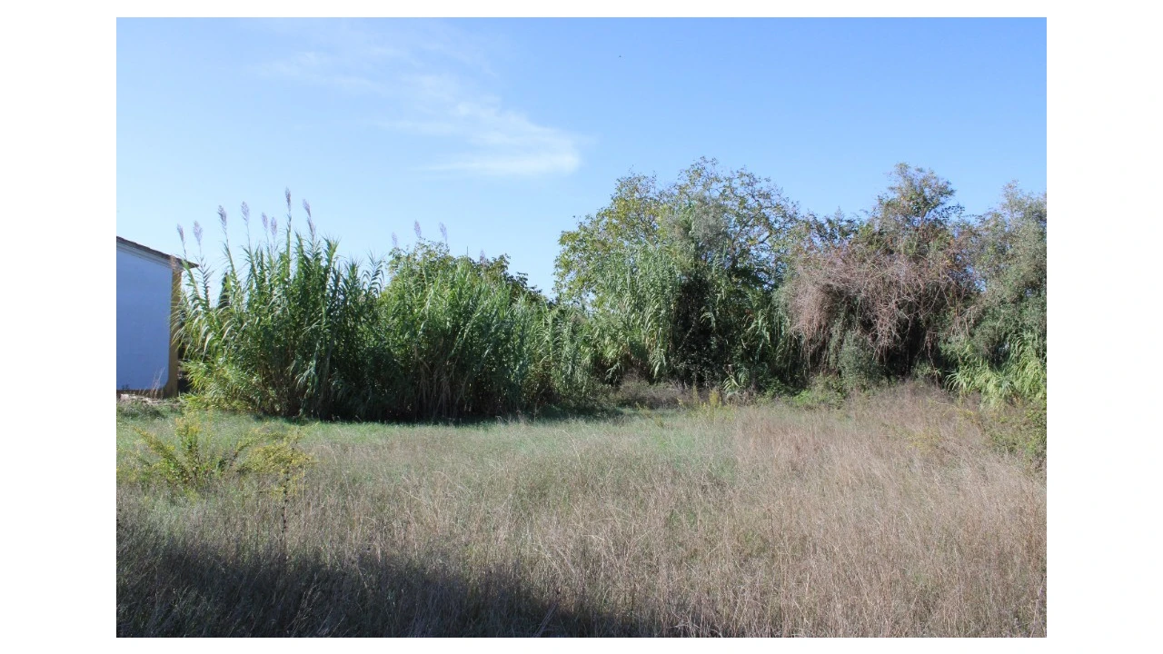 Terreno para Venda em Paialvo Foto 5