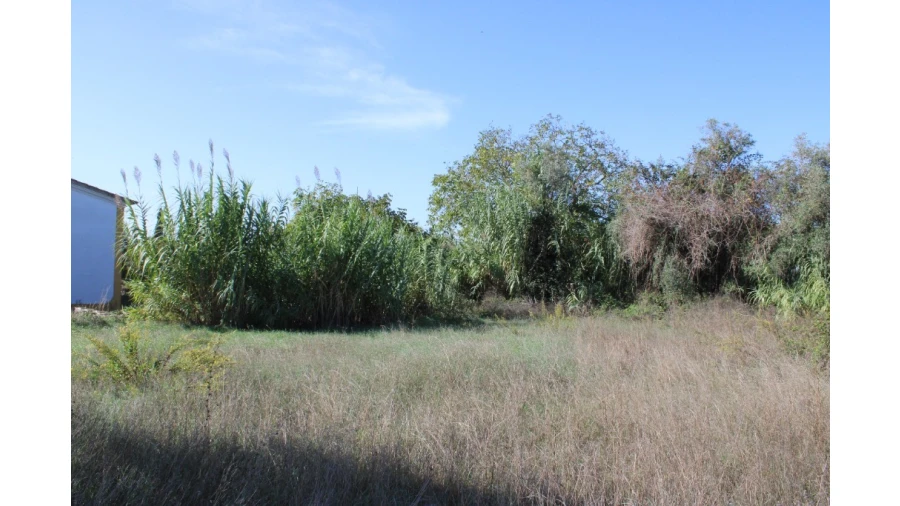 Terreno para Venda em Paialvo Foto 5